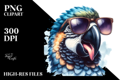 Sublimation|Clipart Product Image 2
