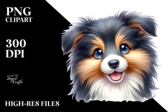 Happy Baby Collie Product Image 2