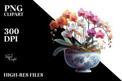 Colorfull Orchid Pot on White Background Product Image 2