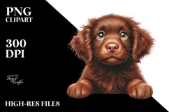 Watercolor Chesapeake Bay Retriever PNG Product Image 2