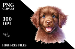 Watercolor Chesapeake Bay Retriever PNG Product Image 2