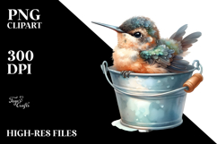 Watercolor Baby Macaw Bucket Sublimation Clipart Product Image 2