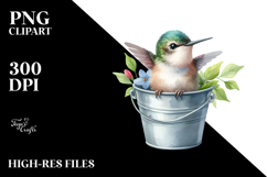 Watercolor Baby Hummingbird in a Bucket Product Image 2