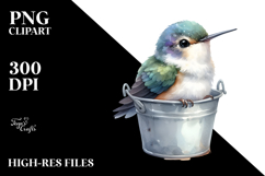 Watercolor Baby Macaw Bucket Sublimation Clipart Product Image 2