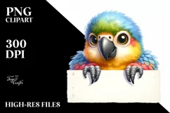 Colorful Baby Macaw on Paper | Sublimation | Clipart Product Image 1