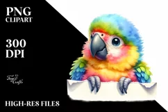 Colorful Baby Macaw | Smiling Watercolor Clipart Product Image 1