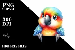 Colorful Baby Macaw | Smiling Watercolor Clipart Product Image 3