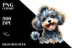 Watercolor Baby Poodle PNG Product Image 2