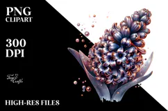 Shiny Hyacinth Watercolor Splash, PNG Product Image 2