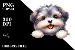 Cute Baby Havanese Over White Paper Product Image 3