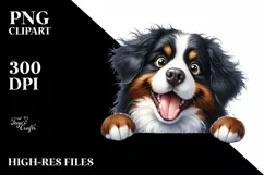 Funny Bernese Mountain Dog Peek | Sublimation | Clipart Product Image 3