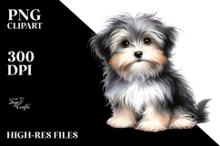 Baby Havanese PNG Product Image 2