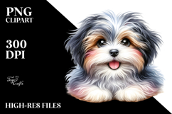 Baby Havanese PNG Product Image 2