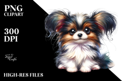Baby Papillon, Transparent PNG Product Image 2
