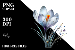 Crocus with Metallic Insertions PNG Product Image 2