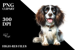 Baby English Springer Spaniel PNG Product Image 2