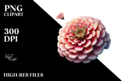 Glossy Zinnia, Watercolor PNG Product Image 2
