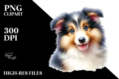 Baby Collie with Big Eyes PNG Product Image 2