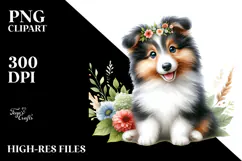 Baby Collie with Big Eyes PNG Product Image 2