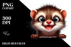 Crazy Looking Fur Peek-a-Boo Product Image 1