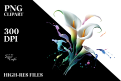 Calla Lily, Transparent PNG Product Image 2