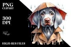 Expressive Weimaraner with Rain Coat PNG Product Image 1