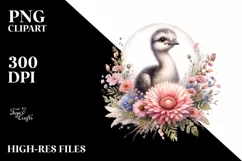 Baby Rhea Above Flower Watercolor | Splash Clipart Product Image 3