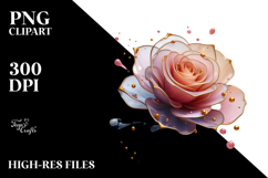 Rose with Splash, PNG Product Image 2