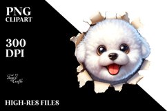 Crazy Looking Bichon Frise Product Image 1