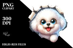 Crazy Looking Bichon Frise Product Image 1