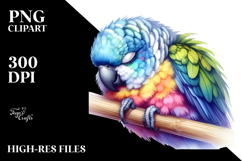 Vibrant Pastel Parrot Sleeping Product Image 2