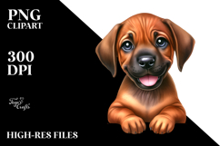 Happy Baby Rhodesian Ridgeback PNG Product Image 2