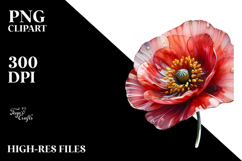 Poppy with Golden Accents PNG Product Image 2