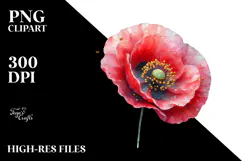 Poppy Watercolor Splash PNG Product Image 2