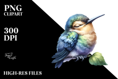 Watercolor Baby Hummingbird Sleeping Product Image 2