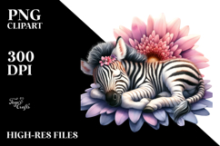 Baby Zebra Sleeping on Flower PNG Product Image 2