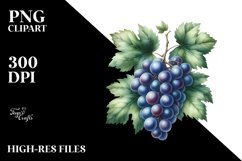 Sublimation|Clipart Product Image 1