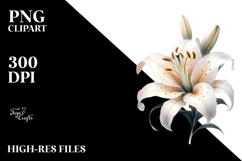Lily Watercolor, PNG Product Image 2