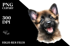 Cute Baby Malinois with Big Eyes PNG Product Image 2