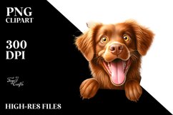 Crazy Chesapeake Bay Retriever Clipart Product Image 1