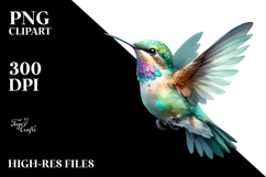 Vibrant Baby Hummingbird Product Image 2