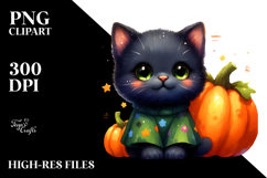 Baby Black Cat Pumpkin Product Image 2