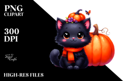 Baby Black Cat Pumpkin Product Image 2