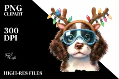 Expressive Baby English Springer Spaniel PNG Product Image 1