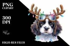 Expressive Baby English Springer Spaniel PNG Product Image 1