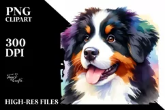 Bernese Mountain Dog Watercolor Clipart Product Image 3