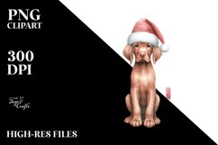 a Cute Vizsla from Behind with Christmass Decorations PNG Product Image 3