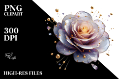 Rose with Splash, PNG Product Image 2