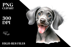 Happy Weimaraner Puppy PNG Product Image 2