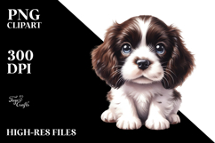 Expressive Baby English Springer Spaniel, PNG Product Image 2